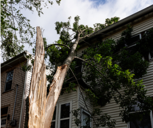 Hurricane Irma damages