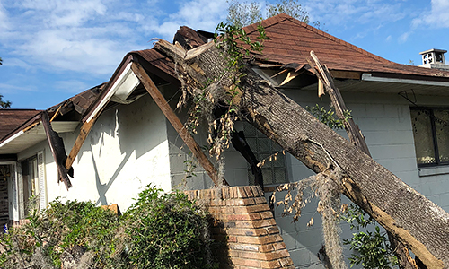 A large tree falling onto a house causing the roof to break.