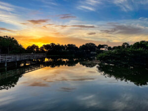 Public Adjusters In East Lake, FL